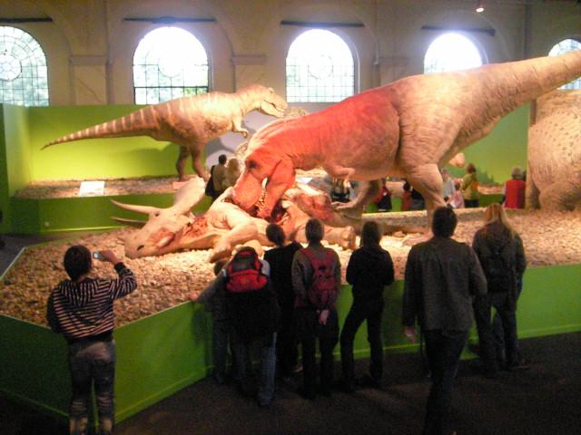 LV Zeltlager 2008 464.jpg